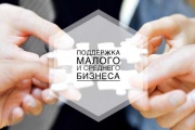  Финансовая поддержка субъектов малого и среднего предпринимательства города Железногорска в 2024 году