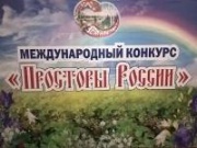 Железногорская «Артель» завоевала «Просторы России»
