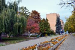 Осень на улицах города Осень на улицах города